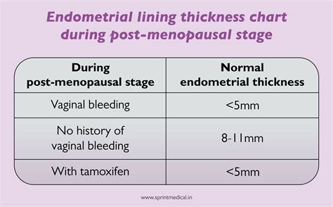 endometrium thickness chart post menopause